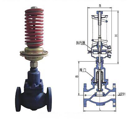 進口自力式壓力調(diào)節(jié)閥(圖1)